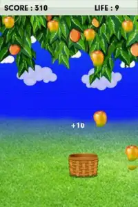 Fruit Catcher game free Screen Shot 1