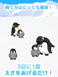 かわいいペンギン育成ゲーム - 完全無料！癒しのぺんぎん育成アプリ Screen Shot 4