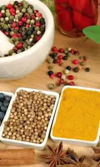 Indian Food Jigsaw Puzzles Screen Shot 1