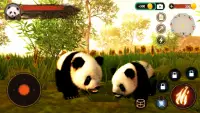 The Panda Screen Shot 4