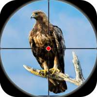 Desert Birds Sniper Shooter  - バードハンティング2019