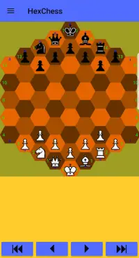 Hexagonal Chess Screen Shot 0