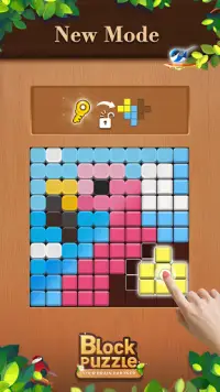Wood Block Puzzle: Classic wood block puzzle games Screen Shot 6