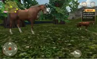 Vita di Horse - Wild Sim Screen Shot 4