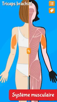 Anatomix - Il corpo umano Screen Shot 4
