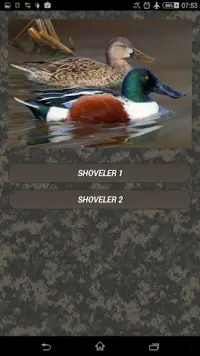 Duck hunting calls Screen Shot 3