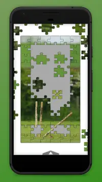 Cricket Jigsaw Puzzles FREE Screen Shot 2