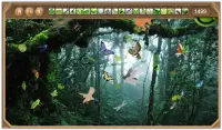 Rain Forest Hidden Objects Screen Shot 0