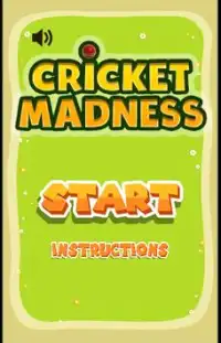 Fun Mad Cricket Screen Shot 0