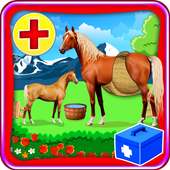 Horse Pregnancy Doctor Surgery