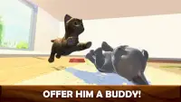 Daily Kitten : gato virtual Screen Shot 5