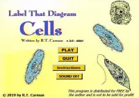 Label that Diagram - Cells Screen Shot 8