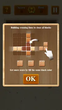 Full Fill Block Screen Shot 4