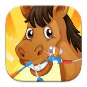 Horse Dentist