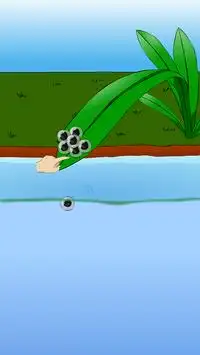 Benim pet: frog Screen Shot 0