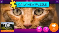 직소 퍼즐: 동물 Screen Shot 2