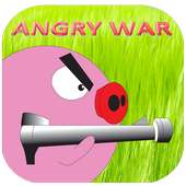 Angry War
