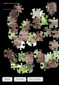 Puzzle with Puzzled Screen Shot 0