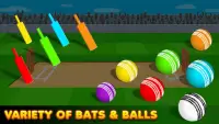 Stickman Cricket - Super Cricket Games Screen Shot 4