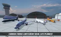 Landing airplane Alert Extrema Screen Shot 2