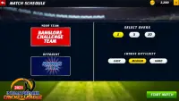 Indian Premier Cricket League 2021 - Cricket Game Screen Shot 1