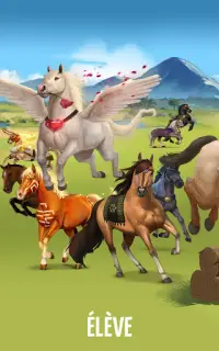 Equideow - jeu gratuit d'élevage de chevaux Screen Shot 9