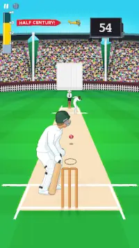 Mighty Cricket Screen Shot 1