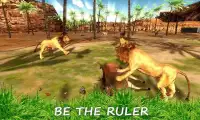 Wild Lion Simulator Screen Shot 3