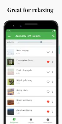 Bird and Animal sounds Screen Shot 1