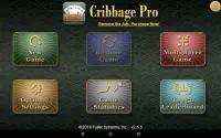 Cribbage Pro Screen Shot 10