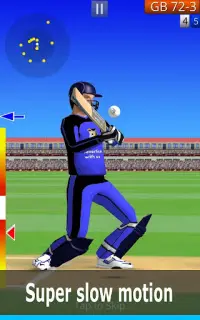 Smashing Cricket: cricket game Screen Shot 16