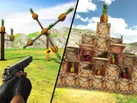 Pineapple Shooting Game 3D Screen Shot 5