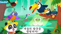 아기 팬더의 새들의 왕국 Screen Shot 0