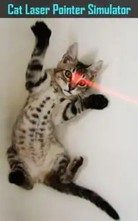 Cat Laser Pointer Simulator Screen Shot 1