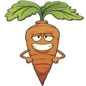 REG THE VEG