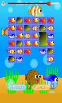 Fish Match Game Screen Shot 3