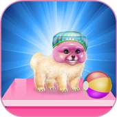 pomeranian puppy day care games