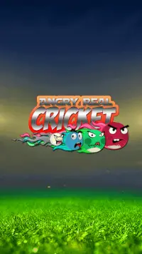Cricket Game: Angry Style Screen Shot 0