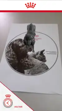 Royal Canin - RA Screen Shot 2