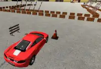 Car Parking Simulator 3D Screen Shot 1