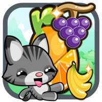 Fruit Cat Dash Jungle