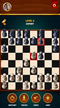 Chess - Offline Board Game Screen Shot 2
