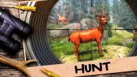 atirador caça animal 2020 Screen Shot 6