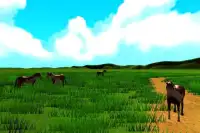 HorseVR Screen Shot 1