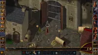 Baldur's Gate: Enhanced Edition Screen Shot 1