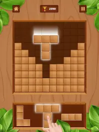 Wood Block Game : Wooden block puzzle solve Screen Shot 7
