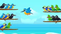 Bird Sort Color- Puzzle Master Screen Shot 1