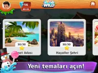 Wild Kartlar: Pis Yedili Kart Oyunları Oynayın Screen Shot 12