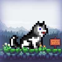 Super Husky: Adventure Platform Game