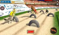 Real Dog Racing Tournament Screen Shot 1